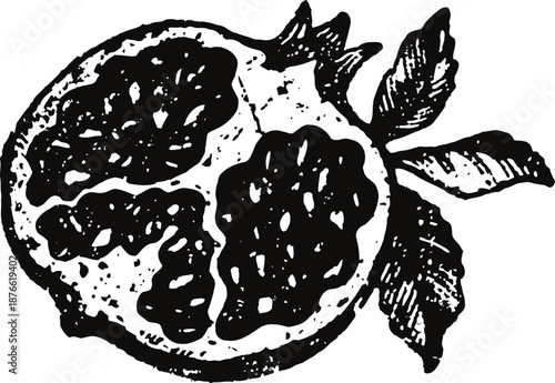 Vintage pomegranate fruit with leaves hand drawn ink sketch of tropical nutritious berry