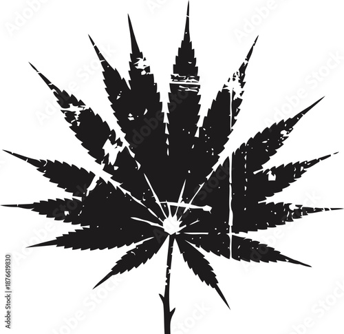 distressed silhouette of a cannabis leaf with grunge texture on white background