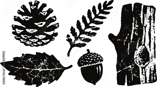 black and white hand drawn autumn elements with pine cone, oak leaf, acorn, fern, and tree bark textures