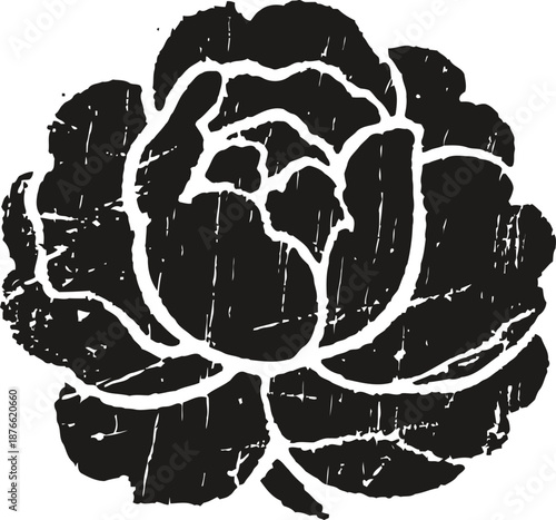 Black and white rustic cabbage illustration with distressed texture and vintage floral design