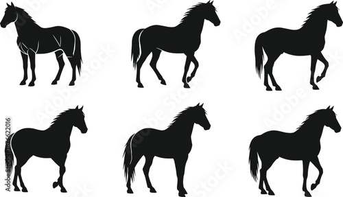 Stylized horse silhouette set, dynamic poses, standing and walking motion, anatomical detail, black animal graphic, vector illustration