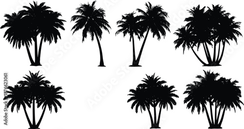 Stylized palm tree silhouette set, varied trunk and frond configurations, black tropical vector graphic for design or botanical use