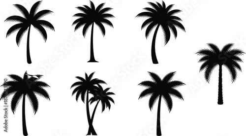 Stylized palm tree silhouette set, varied trunk shapes and frond patterns, black tropical vector graphic for design use