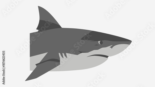 Great White Shark Illustration - Profile View, Minimalist Style