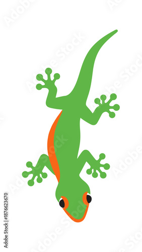 Green Gecko Lizard Illustration on White Background