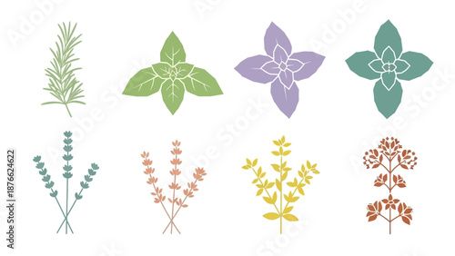 Herbs Collection: Rosemary, Basil, Lavender, Oregano, Mint, Thyme