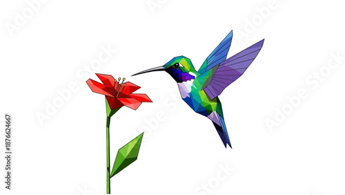 Hummingbird Feeding on Red Flower, Geometric Low Poly Style