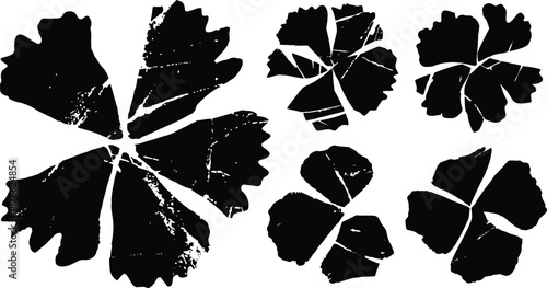 black silhouette set of textured five petal floral shapes on white background, nature design elements