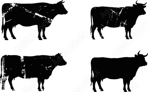 Vintage distressed black cow silhouette set with various scratches and abrasions