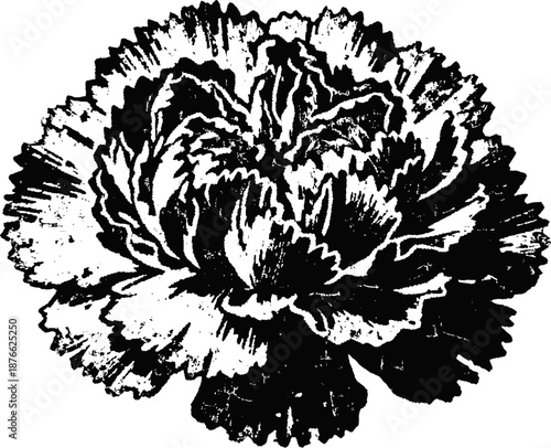Stylized carnation flower illustration with detailed petals and textured shading design