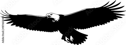 Bald Eagle Flying Silhouette Vector Illustration