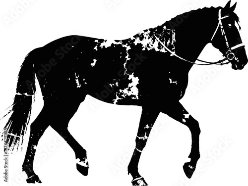 Black horse silhouette with distressed texture walking with bridle and reins