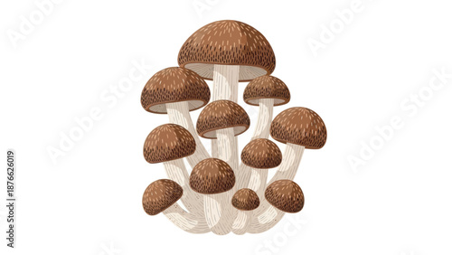 A vibrant cluster of fresh brown mushrooms with textured caps and white stems, perfect for food blogs, recipe books, culinary websites, or natural produce packaging