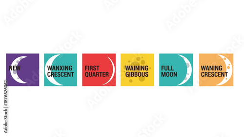 Moon Phases Chart: New Moon, Crescent, Quarter, Gibbous, Full Moon