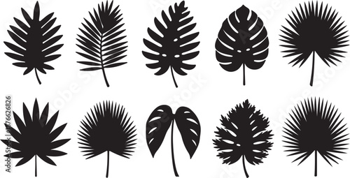 Tropical leaves vector. Set of palm leaves silhouettes isolated on white background. Vector EPS10