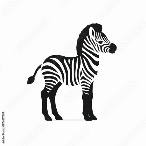 a black and white zebra standing on a plain white background looking right