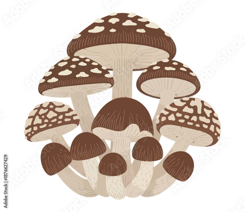 A captivating cluster of brown mushrooms with unique white spotted caps, perfect for autumn nature themes, botanical studies, or whimsical decor projects.