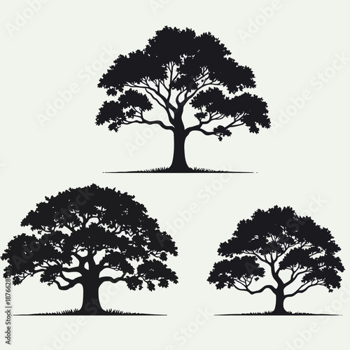 Silhouettes of trees against a white background showing different shapes and sizes