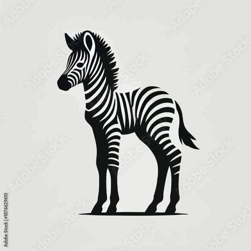 A striking illustration of a young zebra detailed with bold black and white stripes