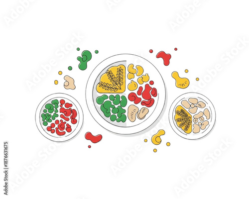 Balanced Healthy Plate Flat Vector Illustration with Colorful Vegetables Fruits Proteins and Grains, Nutrition Diet Concept, Isolated Modern Food Infographic Design