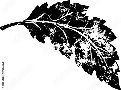 Grunge distressed textured leaf silhouette with visible veins and rough edges on white background