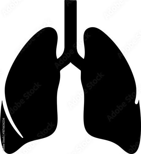 Human Lungs Anatomy Silhouette Icon for Medical and Health Design