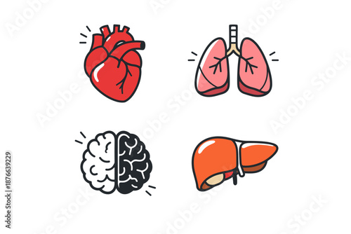 Set of stylized human internal organs including heart, lungs, brain, and liver
