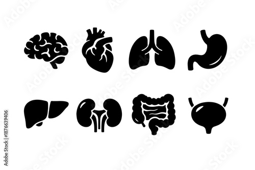 Collection of stylized black icons representing human organs on a white background