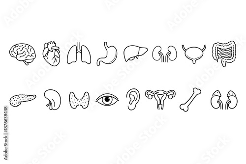 Collection of simplified human organ icons for medical and educational use