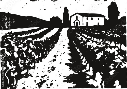 Vineyard landscape with house and rows of grapevines in black and white illustration