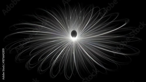 Wallpaper Mural Radiating fractal pattern with intricate white lines on a black background Torontodigital.ca