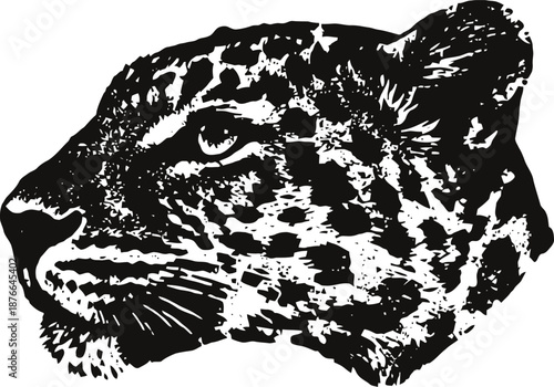 Leopard head illustration with detailed spots and fierce gaze in black and white design