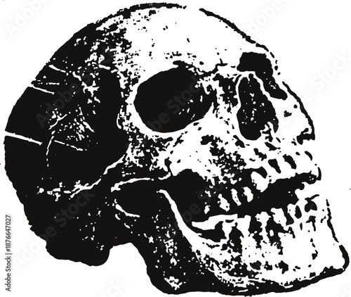 Black and white human skull illustration with vintage texture and side profile view