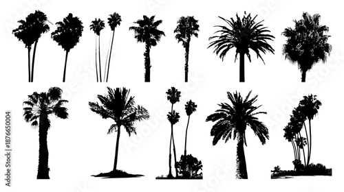 Set of diverse palm tree silhouettes. Tropical plant collection for design, summer backgrounds, and exotic landscapes.