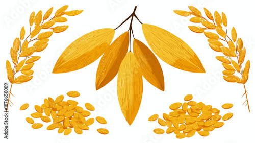 Golden Rice Grains and Ears Illustration. Detailed watercolor style elements depicting agricultural harvest, healthy food, and Asian staple.