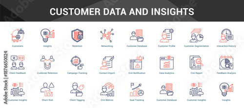 Customer Data And Insights Cohesive set of minimalist vector icons representing key ideas with visual clarity