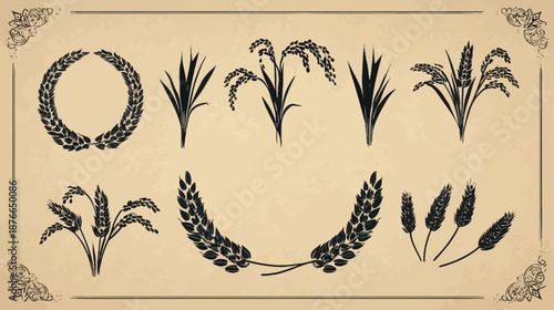 Wheat and Rice Cereal Crop Silhouettes Vector Set - Grain Plants, Ears, Decorative Wreaths on Vintage Background