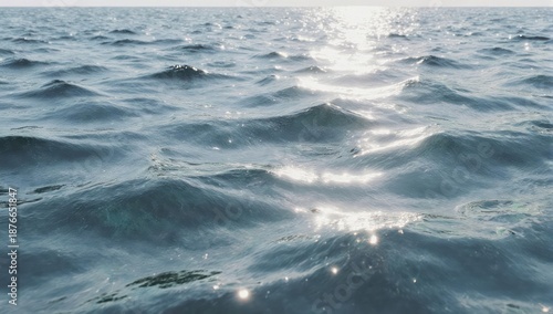 Calm ocean surface reflects sunlight; gentle waves and horizon visible