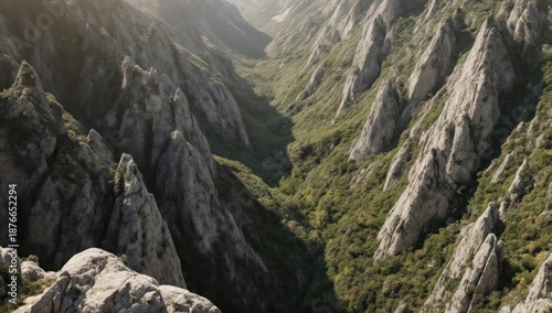 Deep canyon carved into mountains, shadowed valley, and greenery