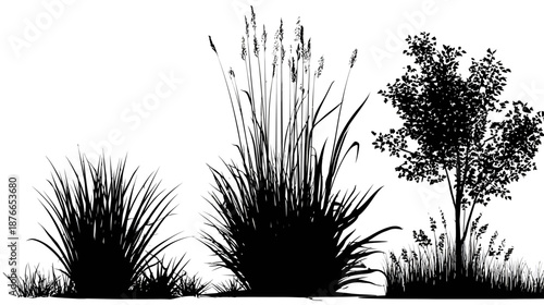 Black silhouettes of various plants, including lush grasses, tall reeds with seeds, and a small tree, isolated vector graphic on white.