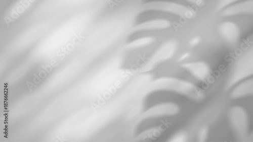 Tropical palm shadow overlay on white background. Realistic leaf silhouette creates natural light effect for summer design projects and poster layouts