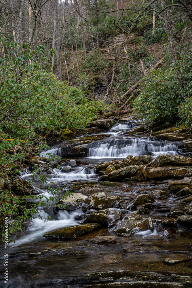 Fototapeta premium great smoky mountains national park - chimney top trail