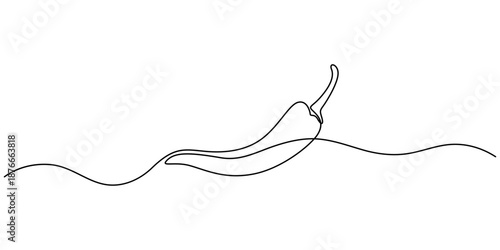 Continuous line drawing of chili pepper. Single line vector illustration of chili pepper. Editable line.