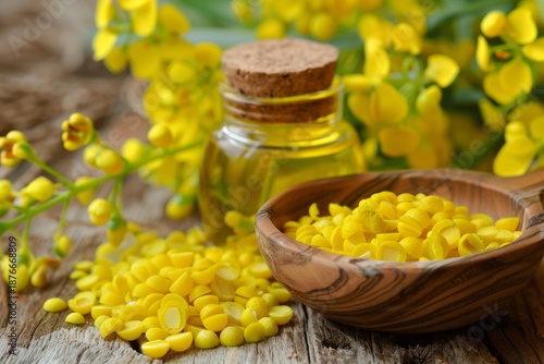 Dyers broom - genista tinctoria - dyeing granules and essential oil creating a natural and vibrant scene