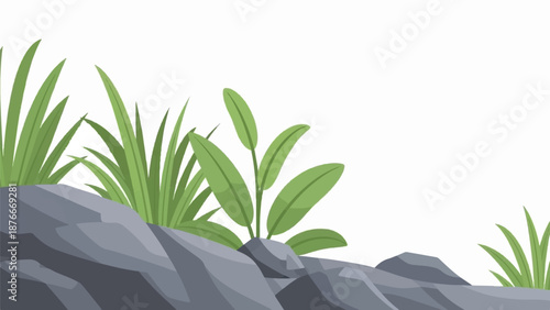 Green plants sprout from gray rocks, with a white background