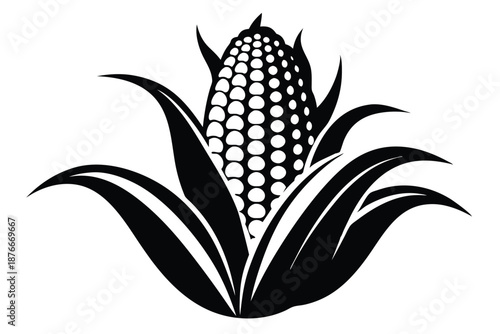 Ear of corn silhouette illustration, black and white vector graphic for vegetable and healthy eating designs