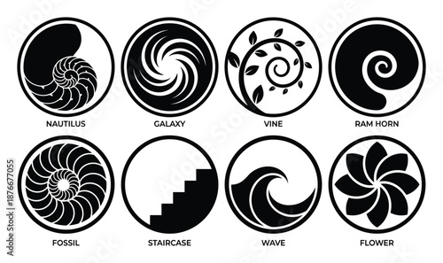 Black and White Circular Design Elements Icons Set: Nautilus, Galaxy, Vine, Ram Horn, Fossil, Staircase, Wave, and Flower