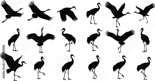 Collection of black crane bird silhouettes in flying, standing, walking, and interacting poses for avian design, nature, biology, and illustration use