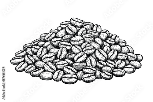 Pile of aromatic roasted coffee beans with hand-drawn sketch illustration