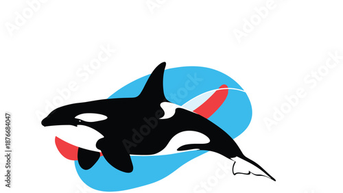 Majestic killer whale swims gracefully across blue and red abstract shapes in this minimalist orca illustration perfect for sea life themes.